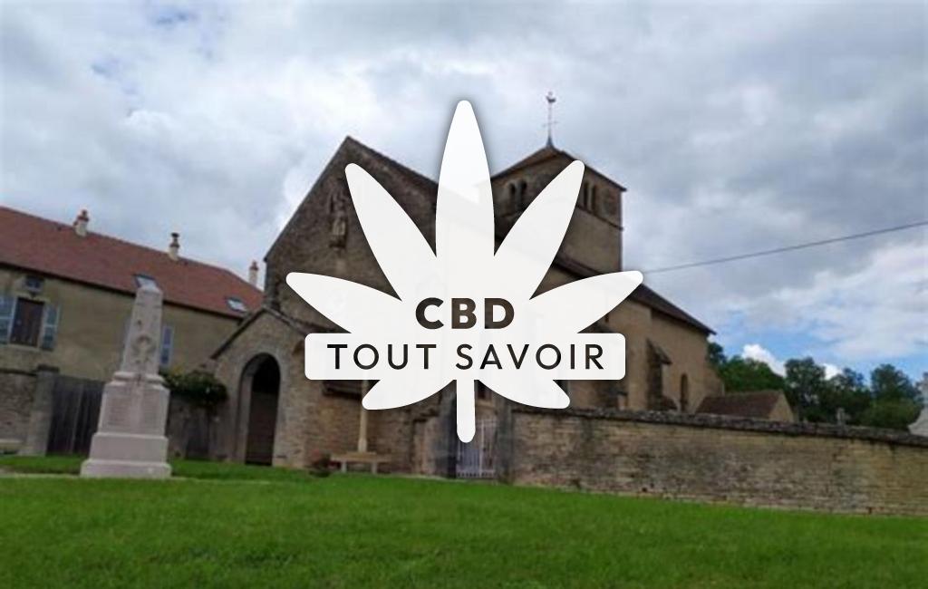 Village à Echannay avec feuille Cannabis CBD