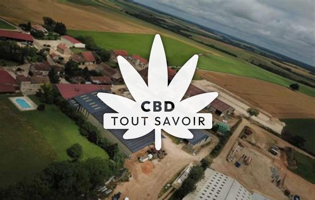 Village à Busserotte-Et-Montenaille avec feuille Cannabis CBD