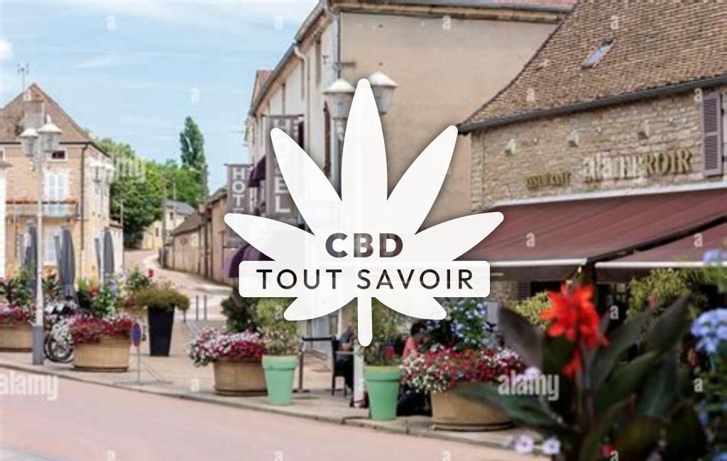 Village à Santenay avec feuille Cannabis CBD