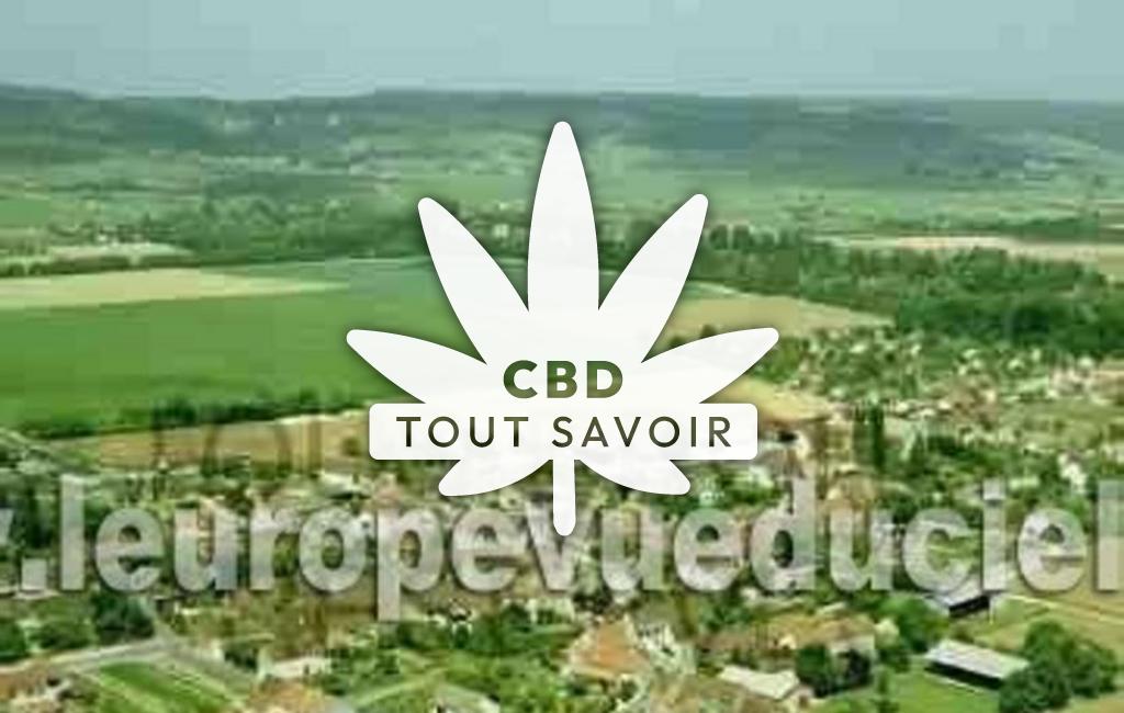 Village à Flagey-Echezeaux avec feuille Cannabis CBD