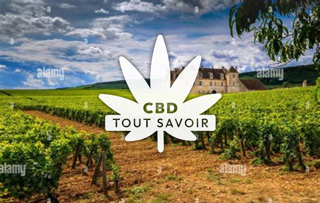 Village à Vougeot avec feuille Cannabis CBD