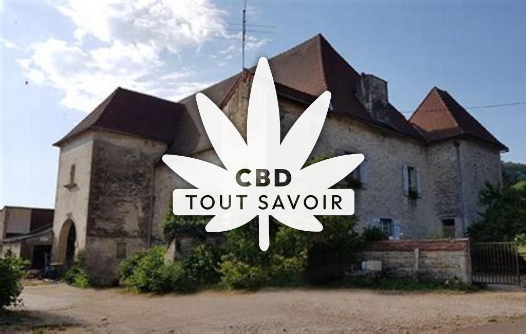 Village à Boux-sous-Salmaise avec feuille Cannabis CBD