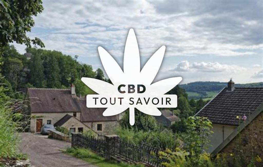 Village à Salmaise avec feuille Cannabis CBD