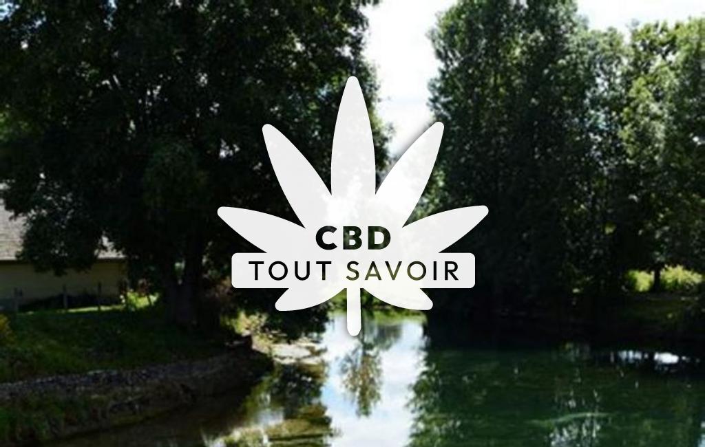 Village à Source-Seine avec feuille Cannabis CBD