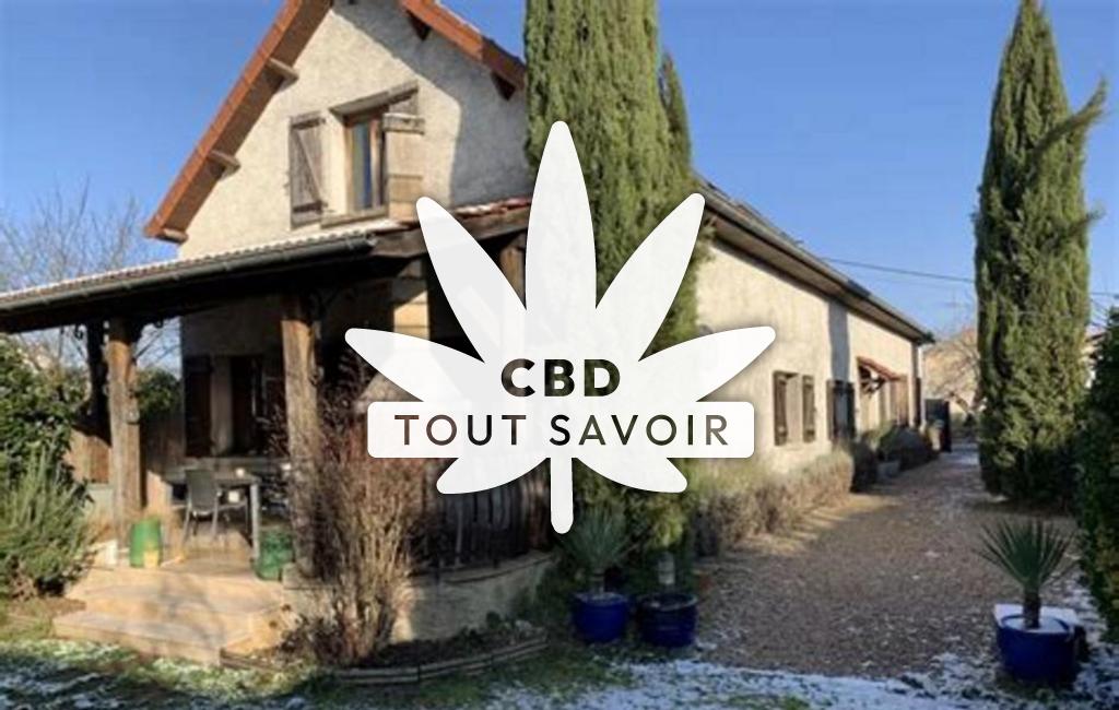 Village à Agencourt avec feuille Cannabis CBD