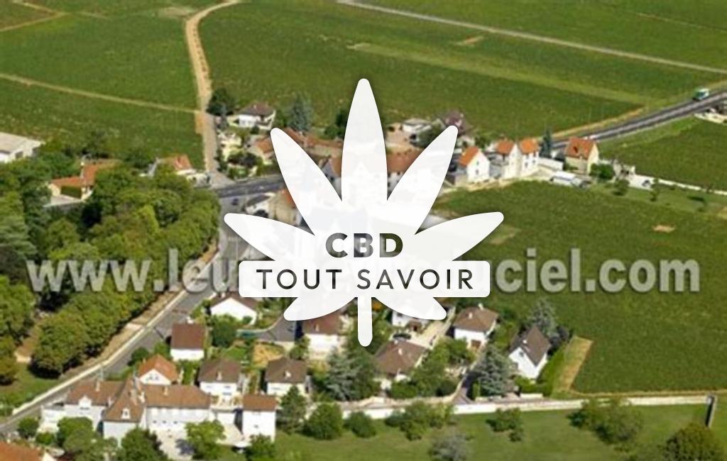 Village à Comblanchien avec feuille Cannabis CBD