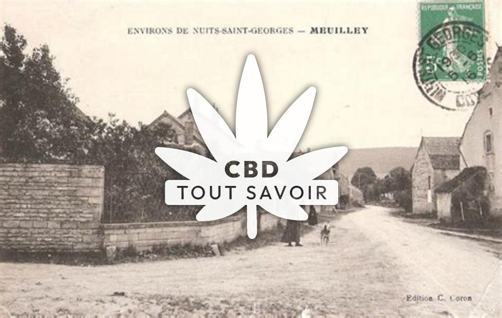 Village à Meuilley avec feuille Cannabis CBD