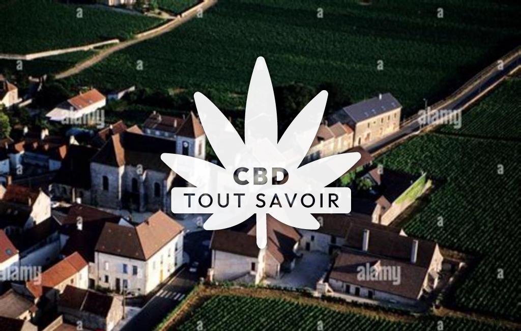 Village à Villebichot avec feuille Cannabis CBD