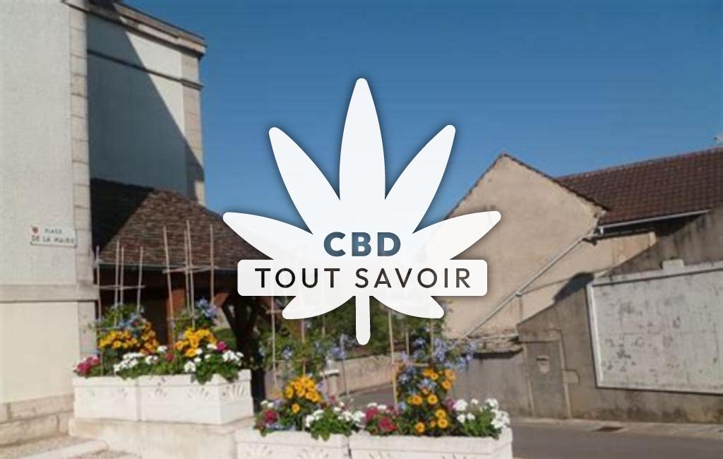 Village à Villers-la-Faye avec feuille Cannabis CBD