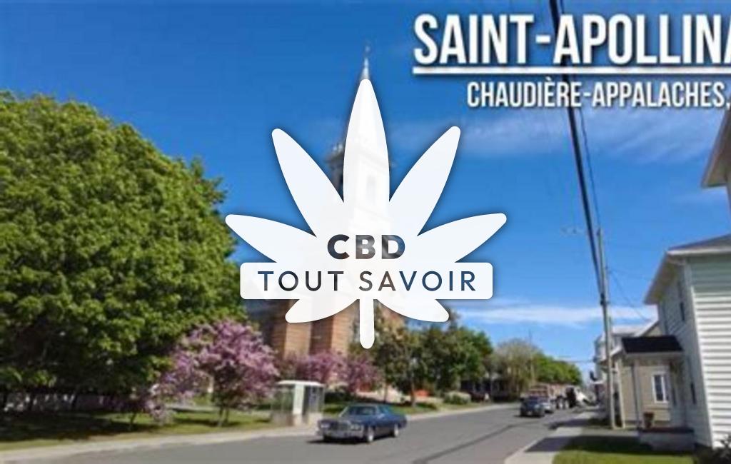 Village à Saint-Apollinaire avec feuille Cannabis CBD