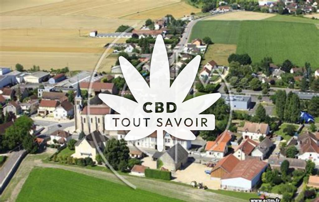 Village à Saulon-la-Chapelle avec feuille Cannabis CBD