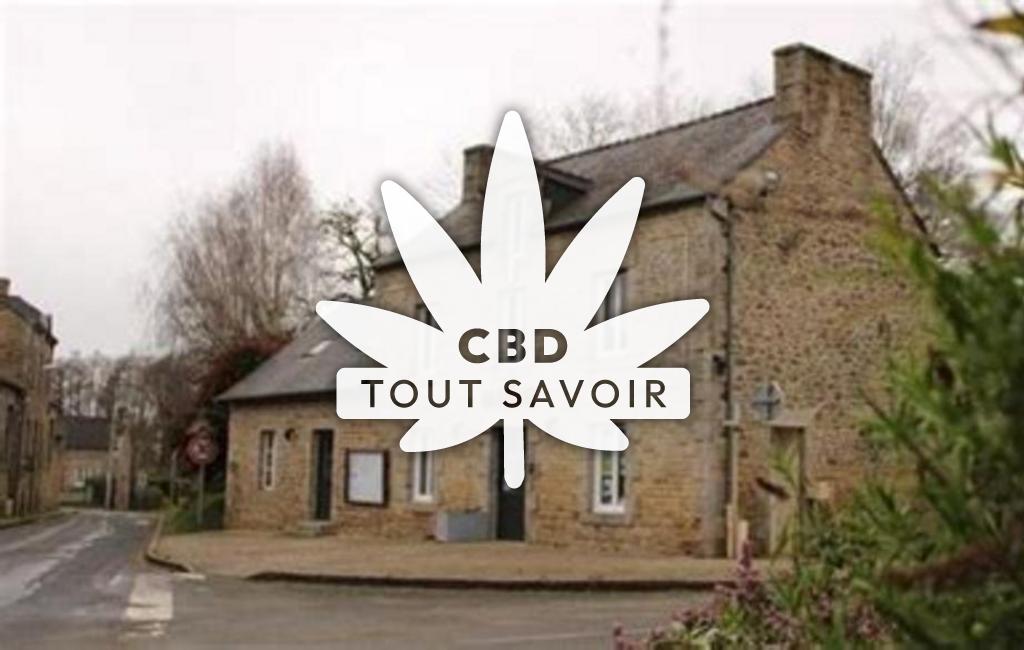 Village à Aucaleuc avec feuille Cannabis CBD