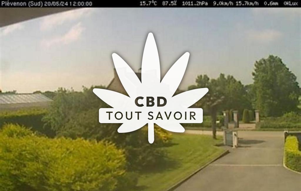 Village à Le-Hingle avec feuille Cannabis CBD
