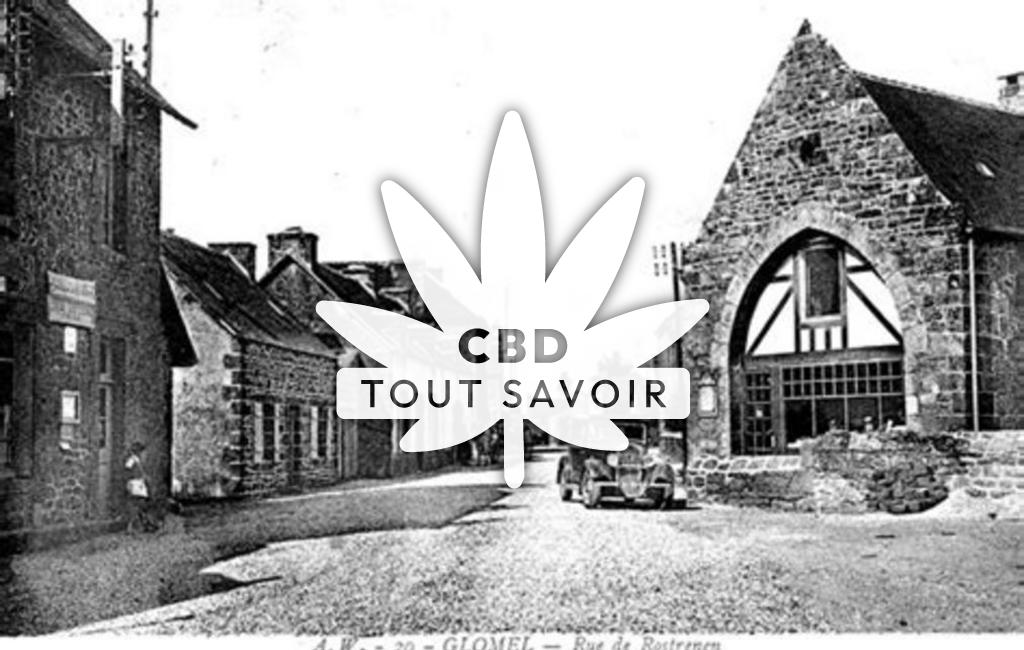 Village à Glomel avec feuille Cannabis CBD