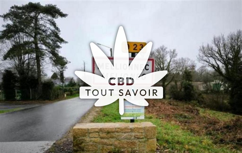 Village à Mellionnec avec feuille Cannabis CBD