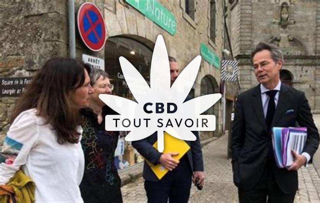 Village à Rostrenen avec feuille Cannabis CBD