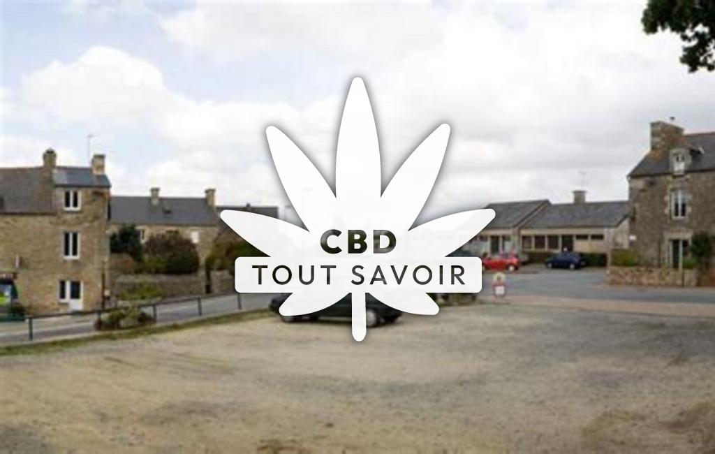 Village à Bourseul avec feuille Cannabis CBD
