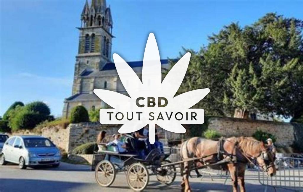 Village à Plorec-sur-Arguenon avec feuille Cannabis CBD