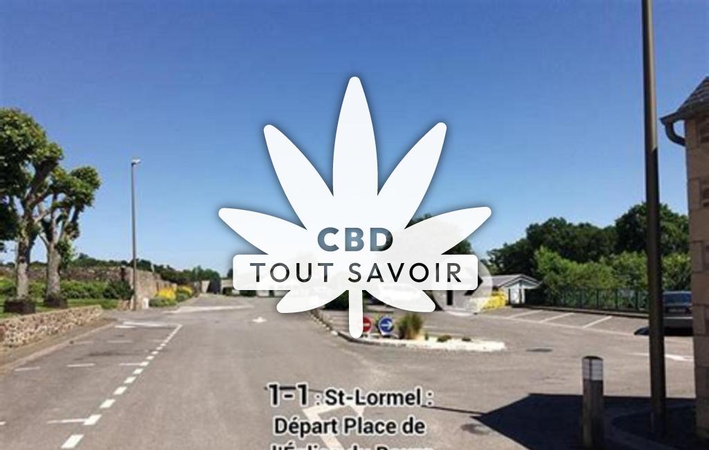 Village à Saint-Lormel avec feuille Cannabis CBD