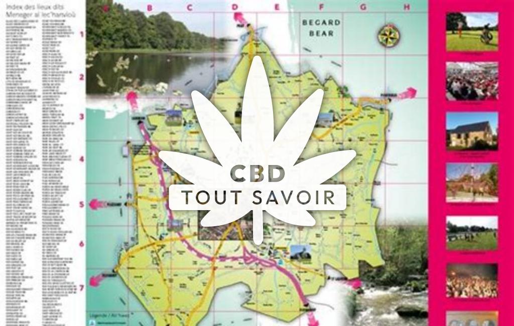 Village à Begard avec feuille Cannabis CBD