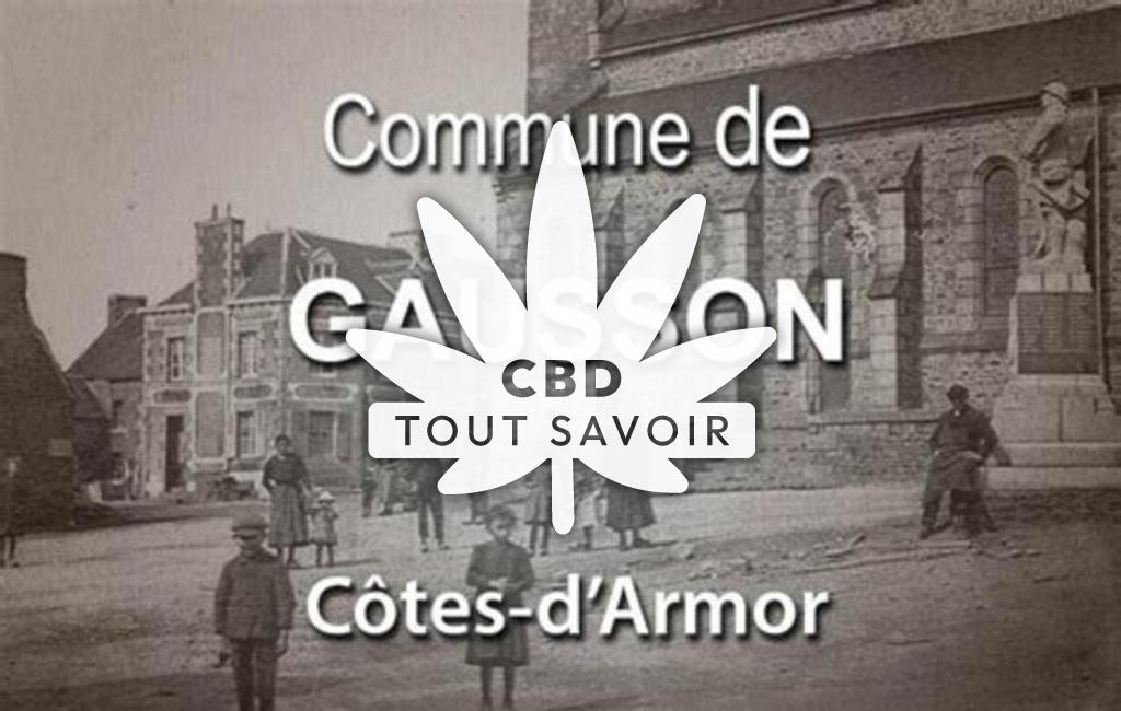 Village à Gausson avec feuille Cannabis CBD
