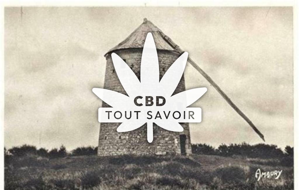Village à Plemy avec feuille Cannabis CBD