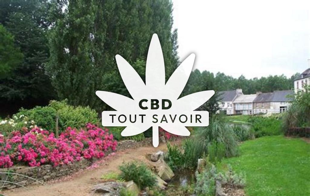 Village à Plouguenast-Langast avec feuille Cannabis CBD