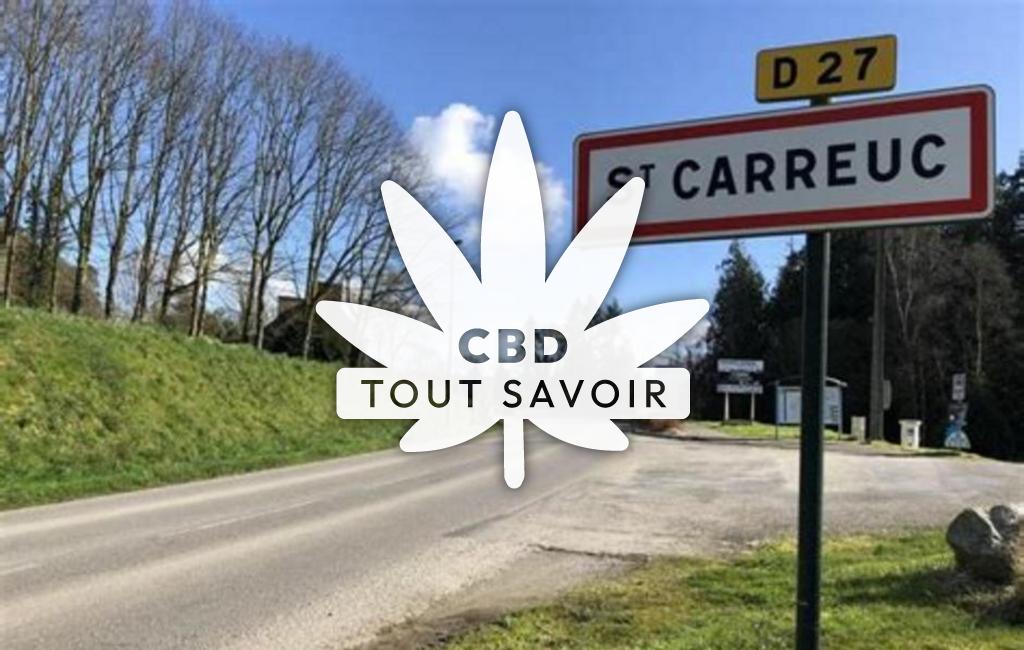 Village à Saint-Carreuc avec feuille Cannabis CBD