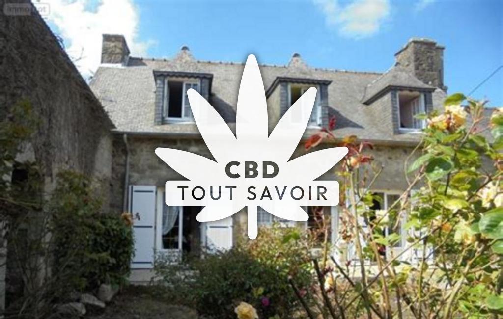 Village à Bulat-Pestivien avec feuille Cannabis CBD