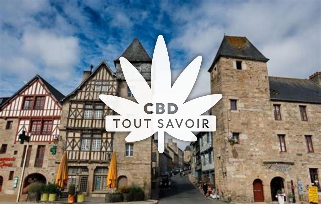 Village à La-Chapelle-Neuve avec feuille Cannabis CBD