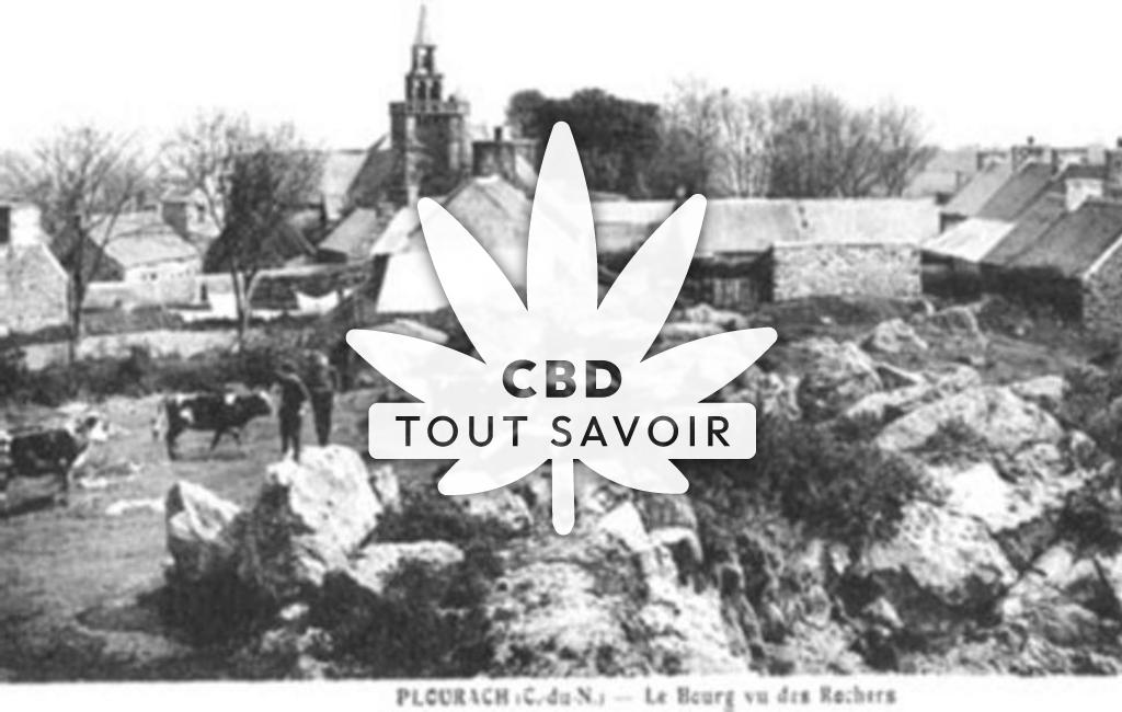 Village à Plourac-H avec feuille Cannabis CBD