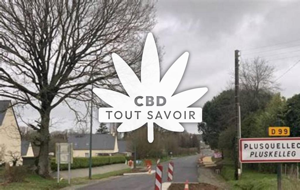 Village à Plusquellec avec feuille Cannabis CBD