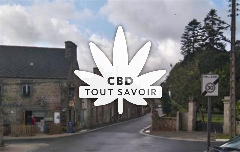 Village à Boqueho avec feuille Cannabis CBD