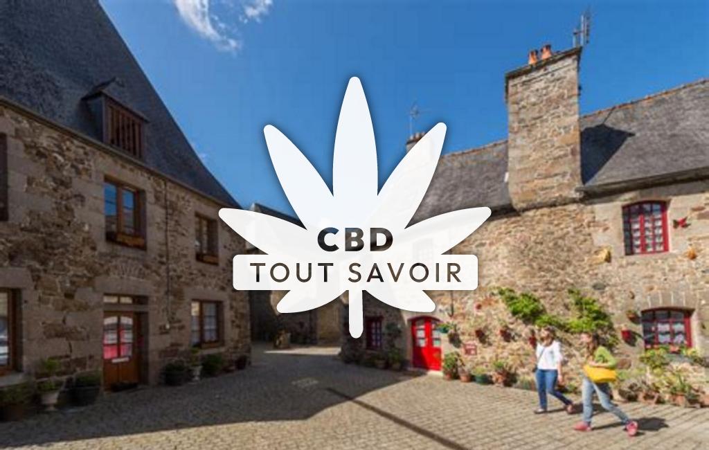 Village à Chatelaudren-Plouagat avec feuille Cannabis CBD