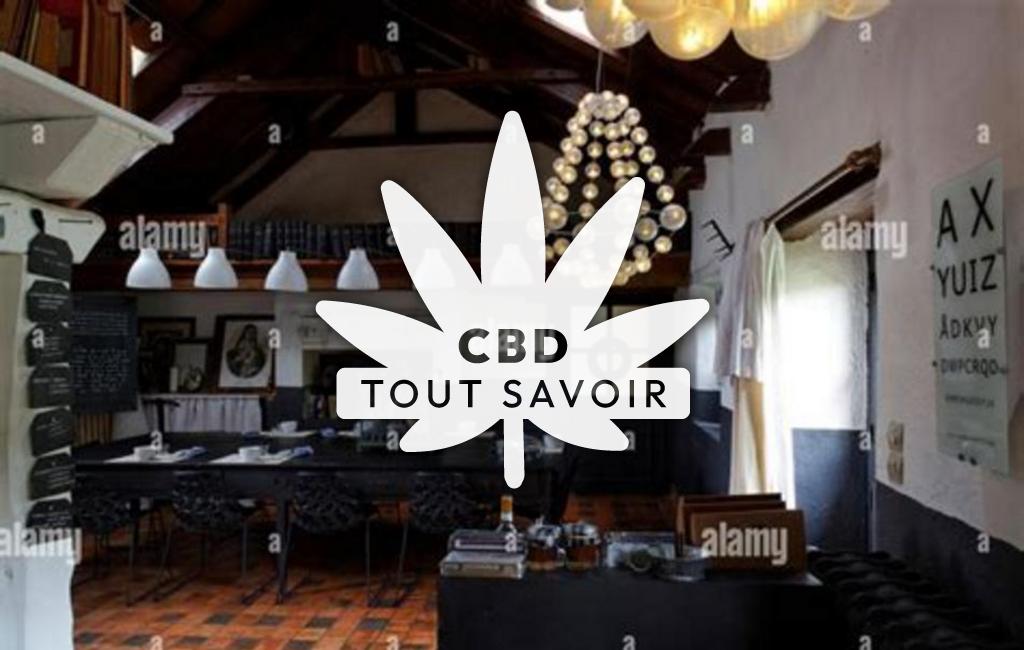 Village à Plelo avec feuille Cannabis CBD