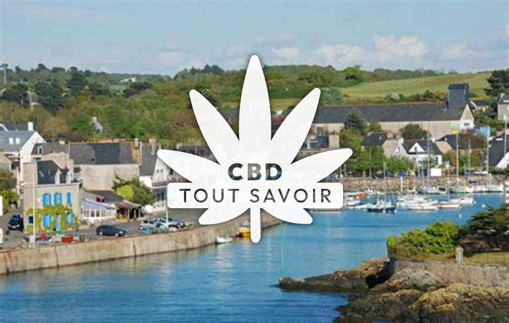 Village à Plerneuf avec feuille Cannabis CBD