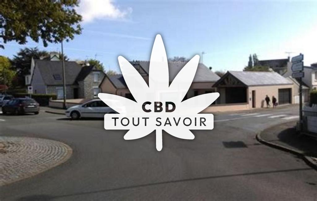 Village à Plerin avec feuille Cannabis CBD