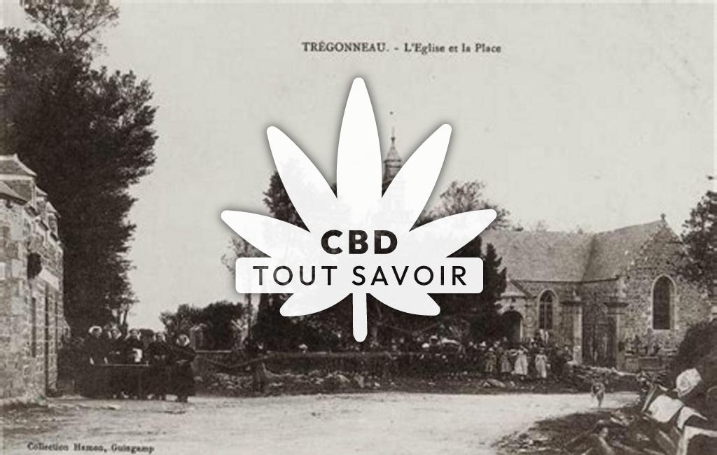 Village à Tregonneau avec feuille Cannabis CBD