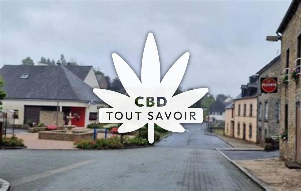 Village à La-Prenessaye avec feuille Cannabis CBD