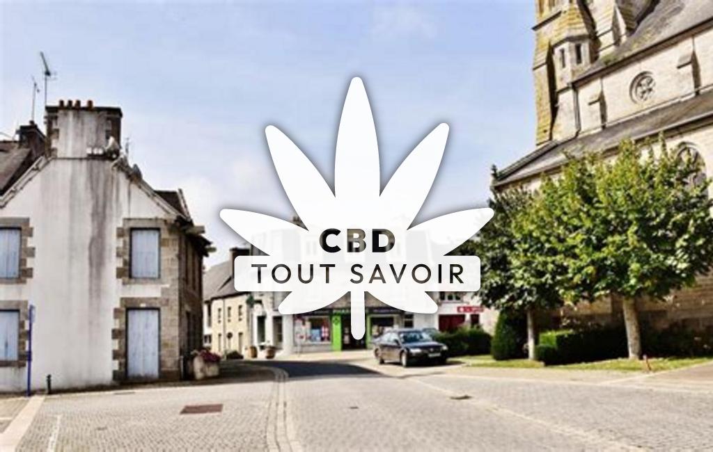 Village à Plemet avec feuille Cannabis CBD