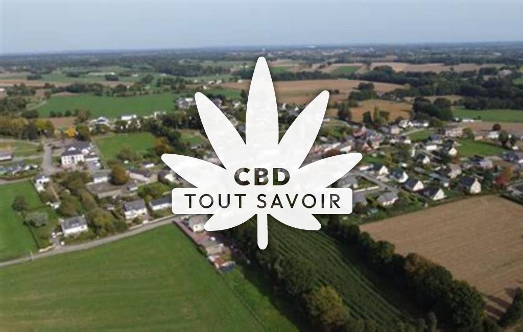 Village à Loscouet-sur-Meu avec feuille Cannabis CBD