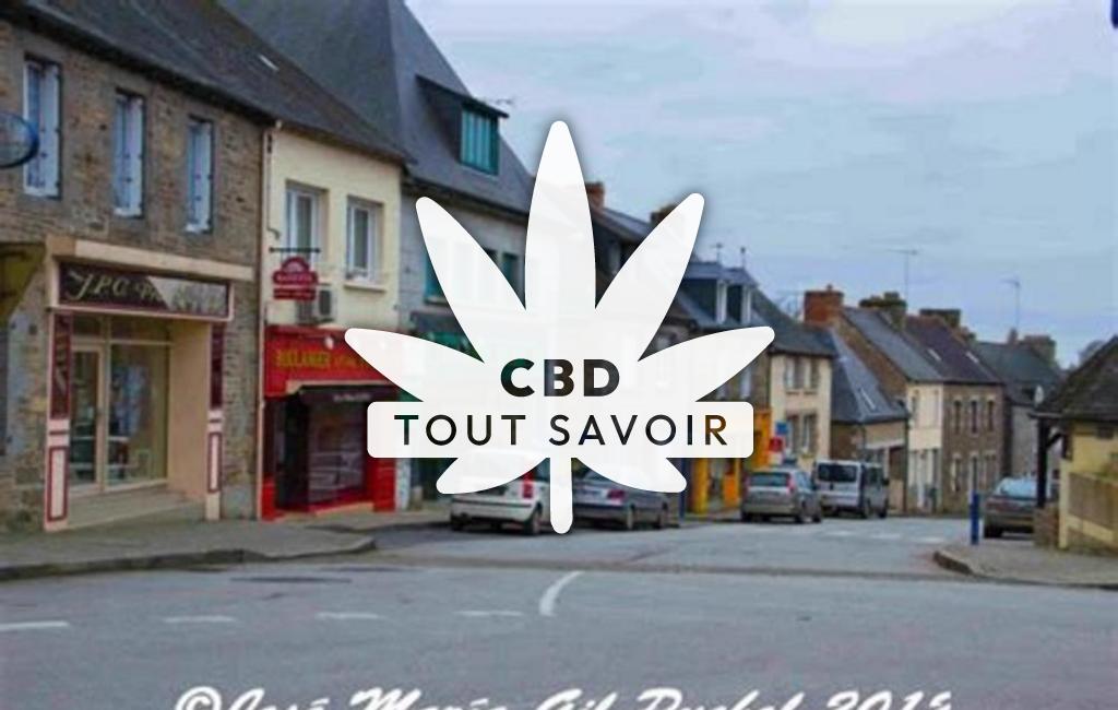 Village à Merdrignac avec feuille Cannabis CBD