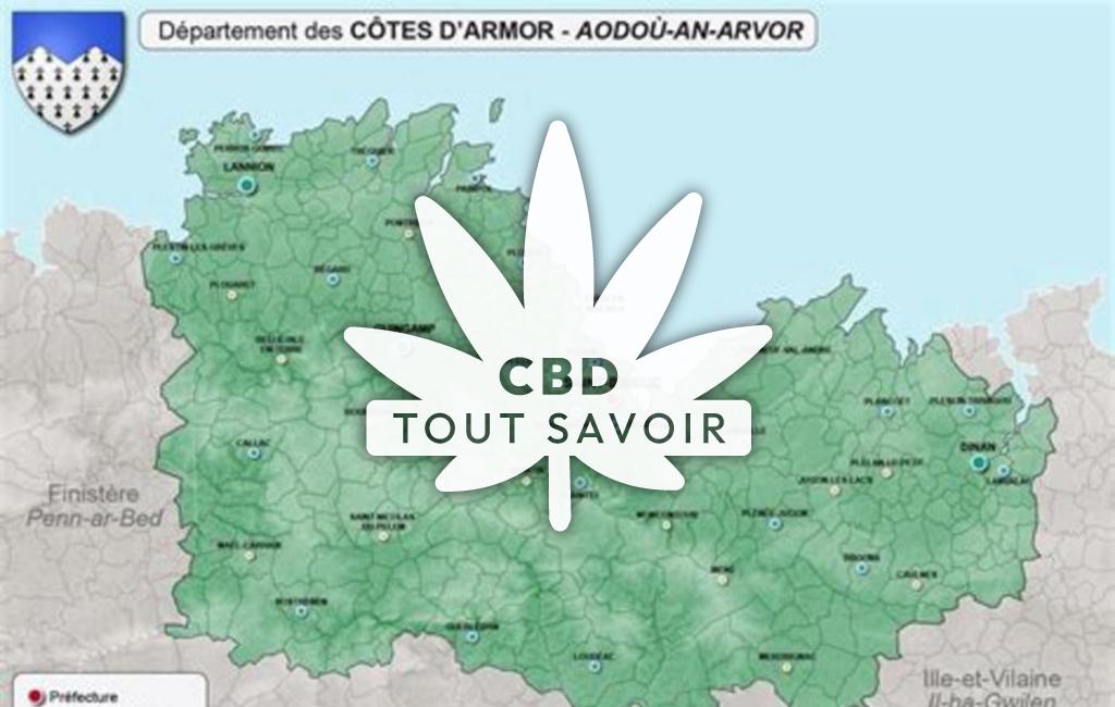 Village à Merillac avec feuille Cannabis CBD