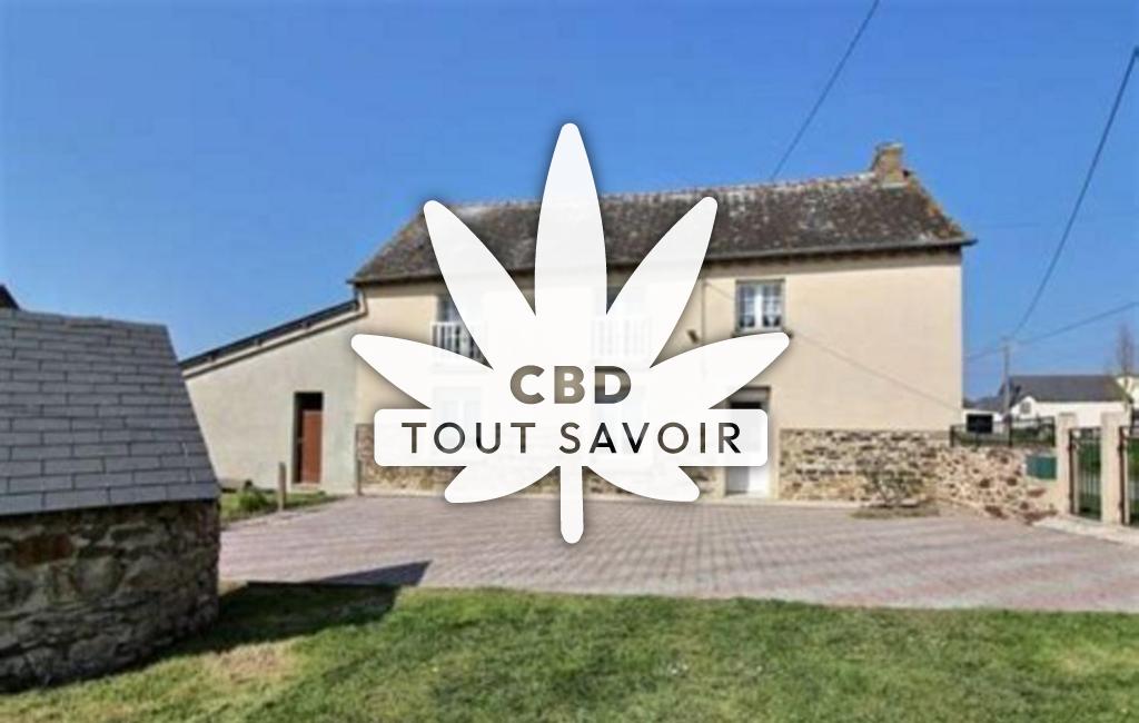 Village à Tremorel avec feuille Cannabis CBD