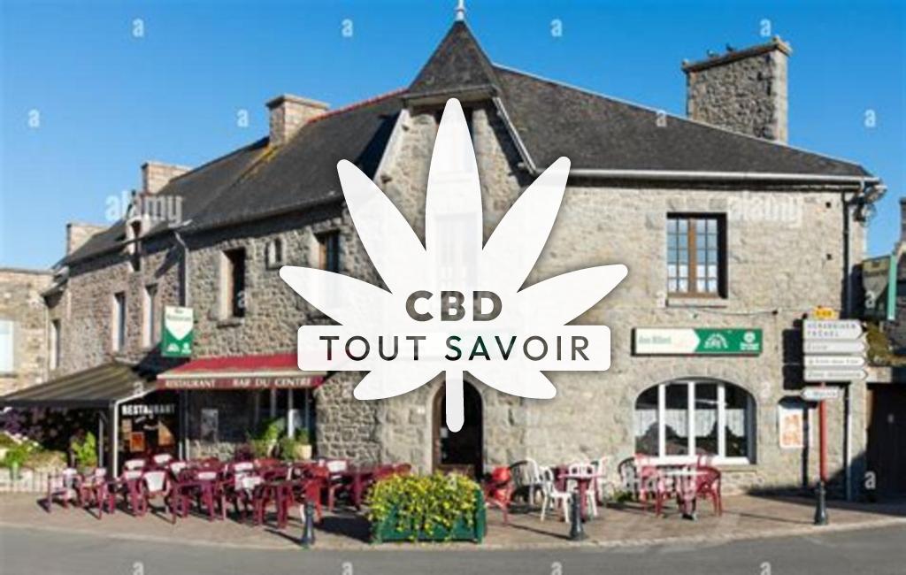 Village à Plurien avec feuille Cannabis CBD