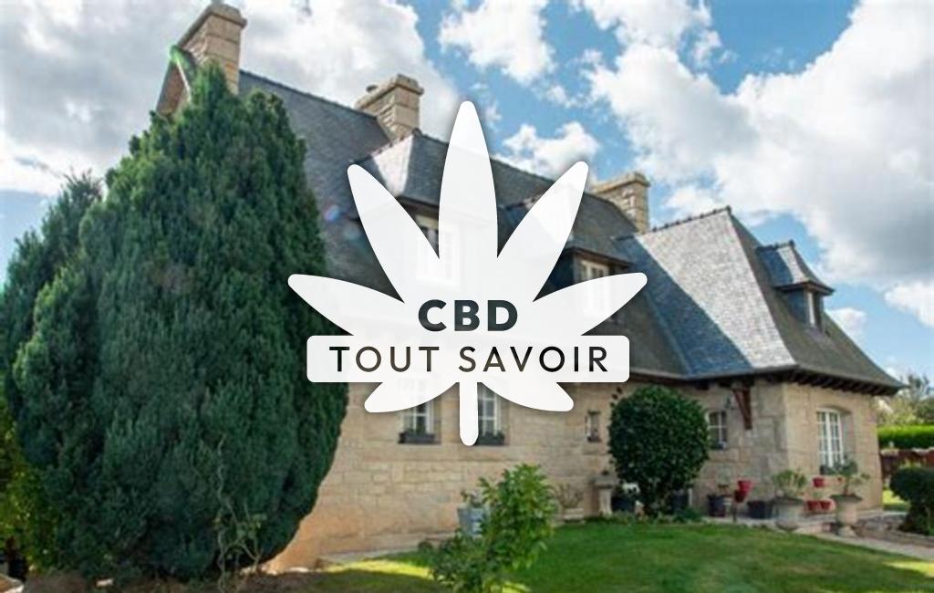Village à Broons avec feuille Cannabis CBD