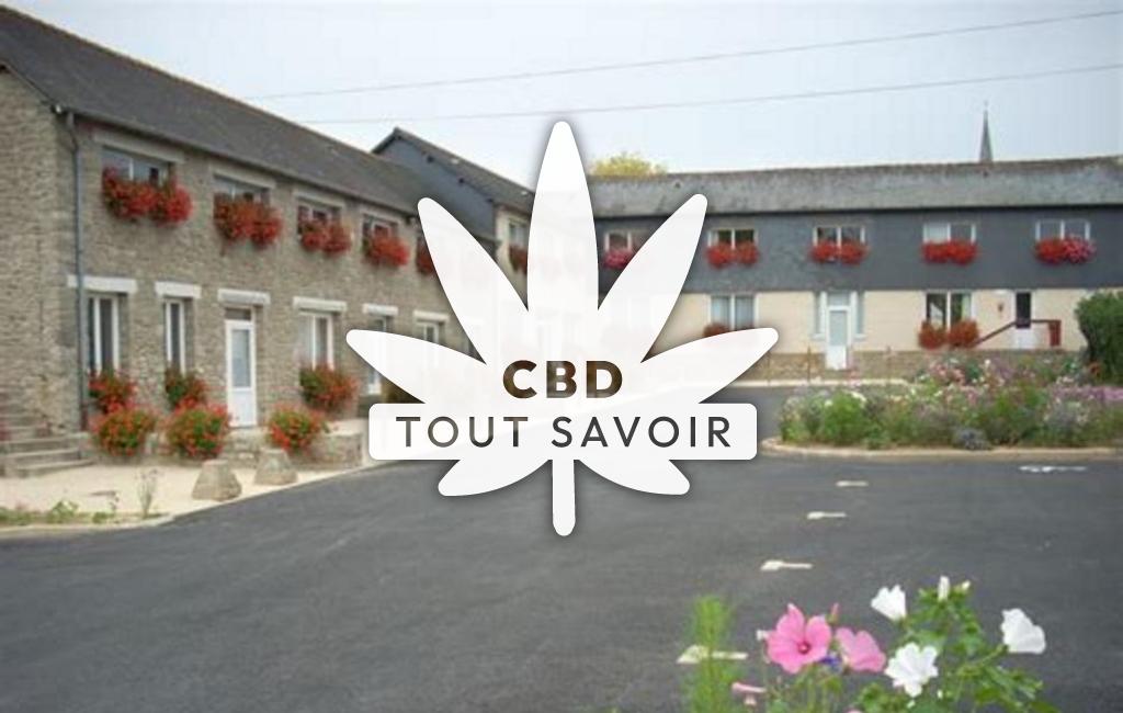 Village à Plumaugat avec feuille Cannabis CBD
