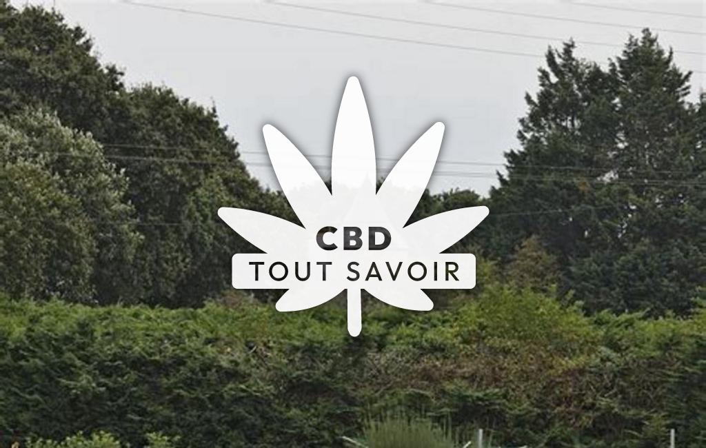 Village à Saint-Clet avec feuille Cannabis CBD