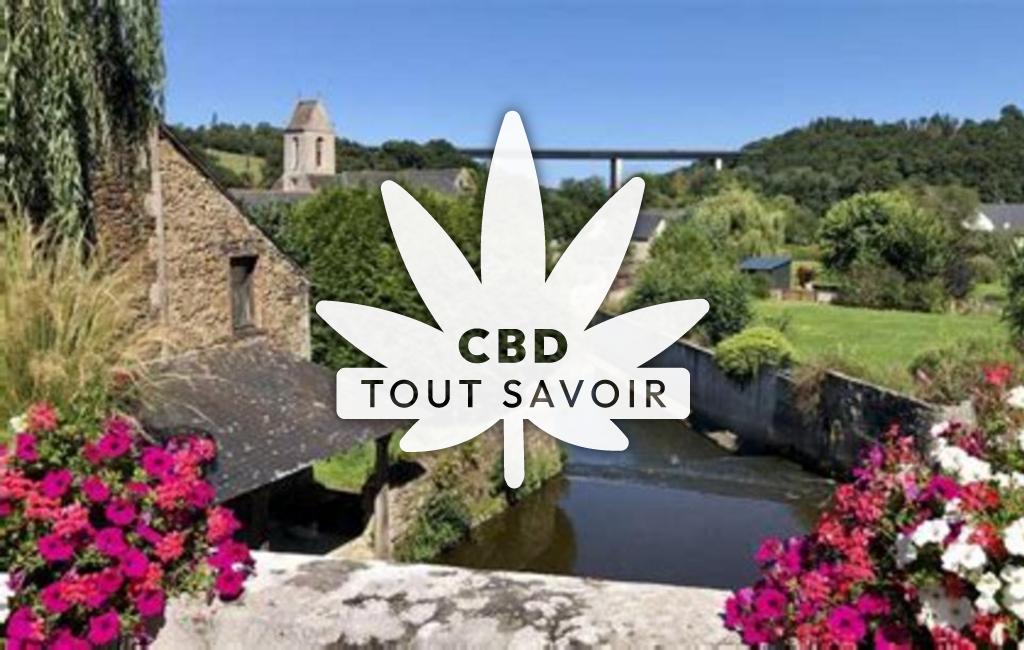 Village à Jugon-les-Lacs-Commune-Nouvelle avec feuille Cannabis CBD