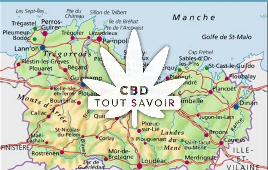 Village à Lannebert avec feuille Cannabis CBD
